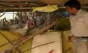 آهنگ زندگی پس از سکوتی ۲۷ ساله + فیلم