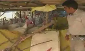 آهنگ زندگی پس از سکوتی ۲۷ ساله + فیلم
