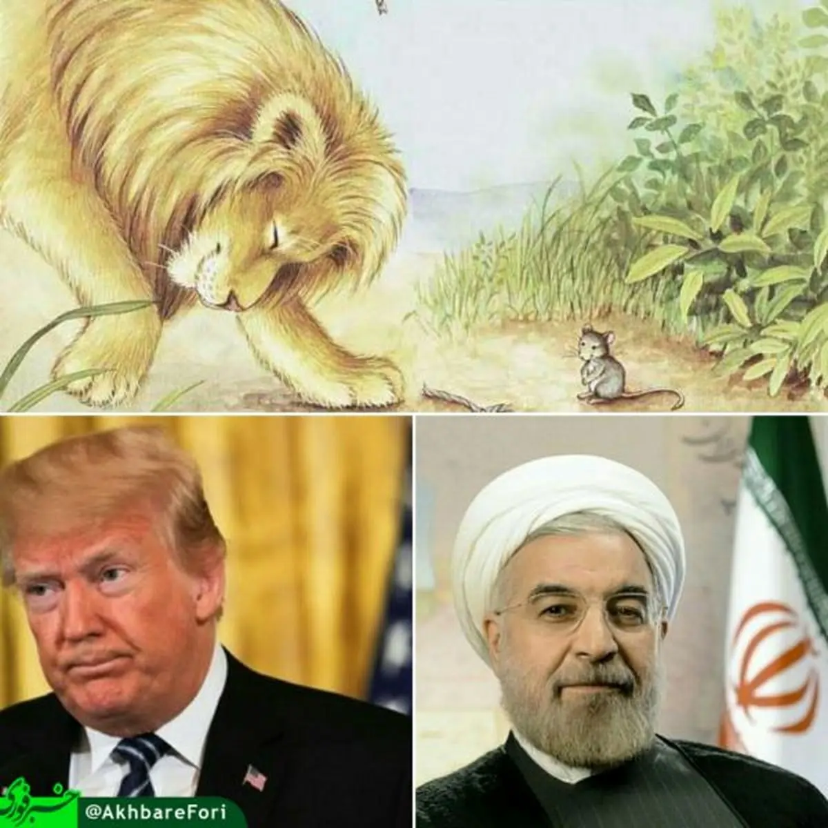 ریشه داستان بازی با دم شیر چیست؟ آیا شیر در تله می افتد یا پیروز می شود؟