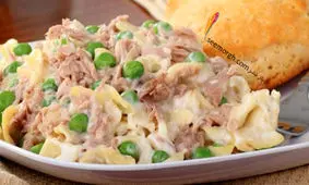 خوراک ماکارونی با تن ماهی، یک پیش غذای شیک و ساده برای میهمانی