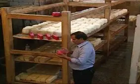 پنیری به قدمت تاریخ