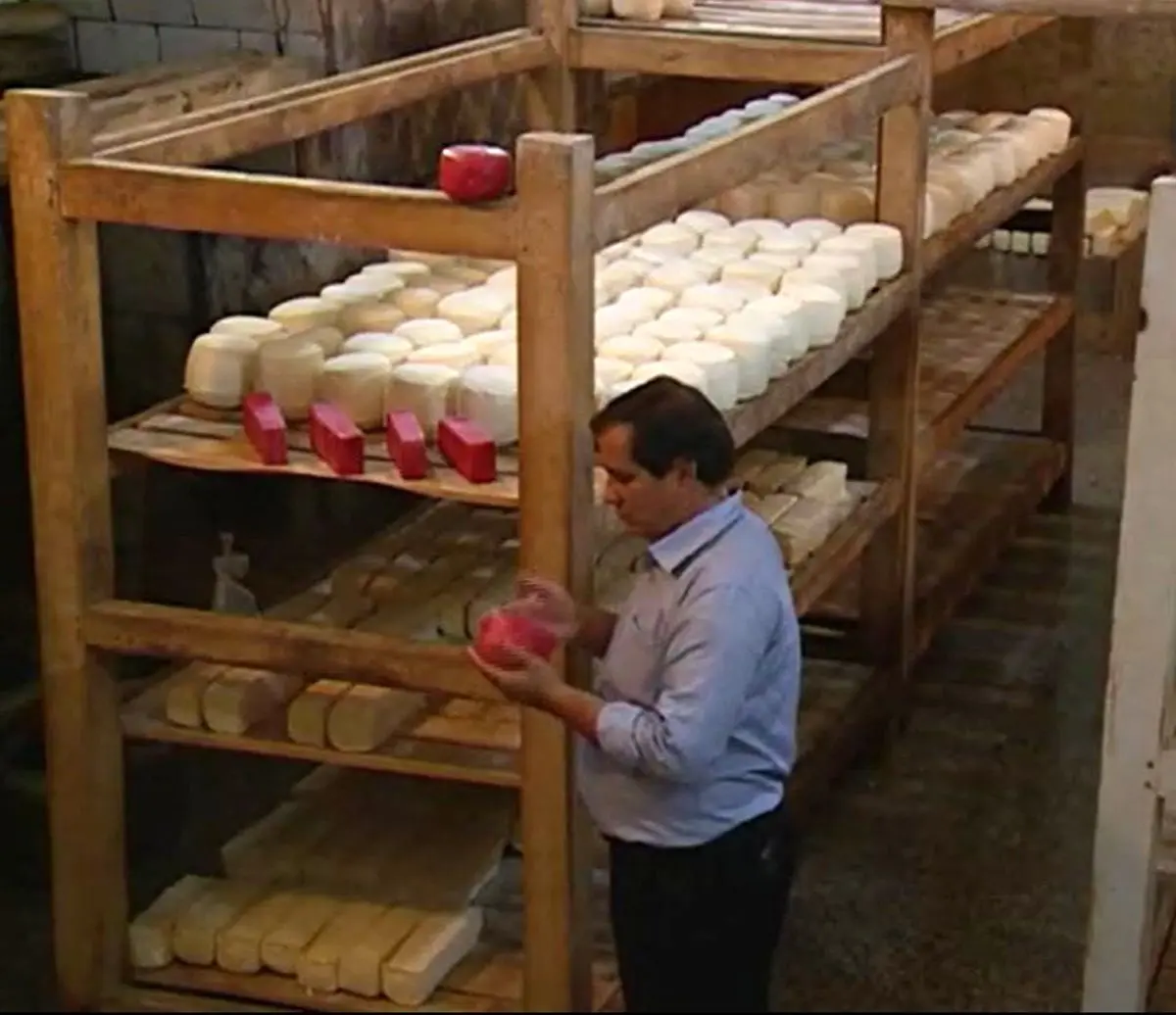 پنیری به قدمت تاریخ