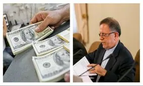 آغاز تحقیقات از ۱۰۰ شرکت دریافت کننده ارز دولتی