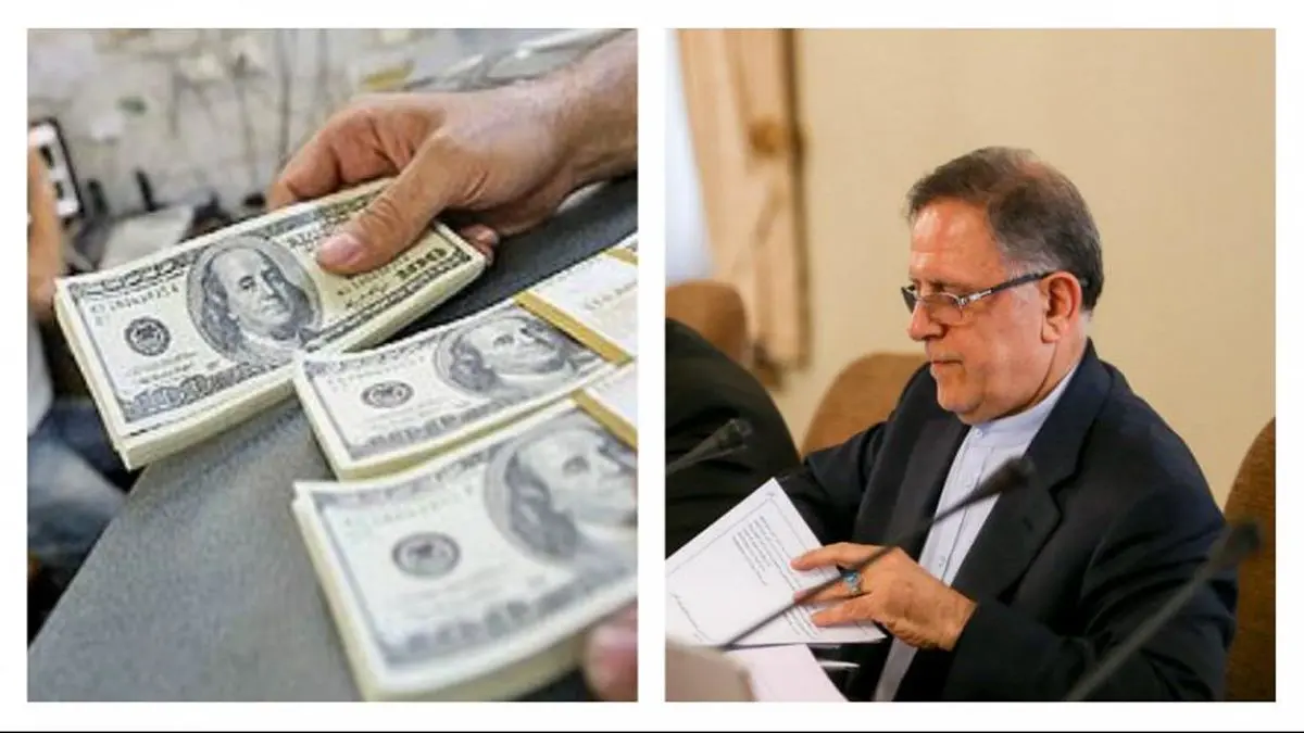 آغاز تحقیقات از ۱۰۰ شرکت دریافت کننده ارز دولتی