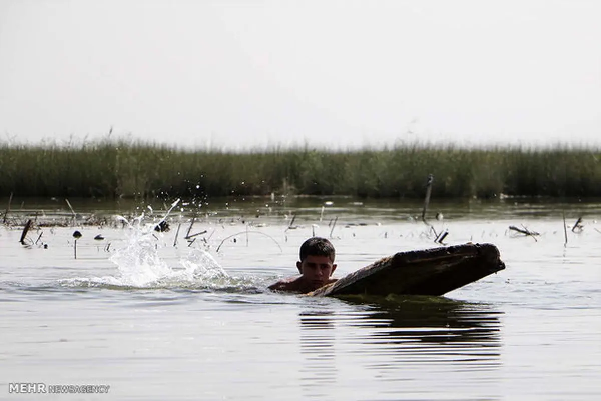تالاب شادگان در حسرت پرندگان مهاجر