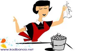 چگونه خانه دار خوبی باشیم؟