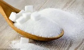 شاهرود، شهر شکر