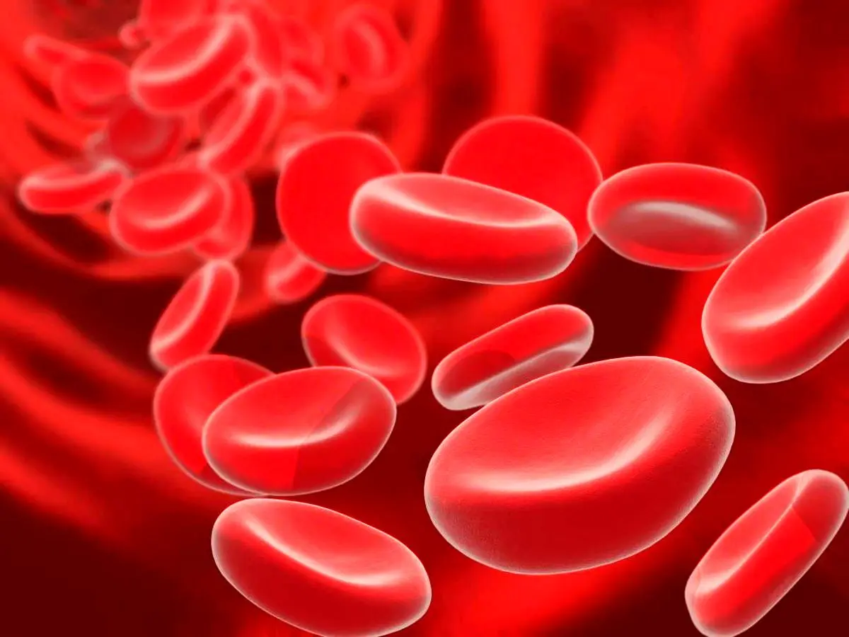 خون نامرئی که مرگ زودرس را برای انسان به ارمغان می‌آورد!