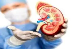 همه چیز درباره کیست کلیه+ راه‌های درمان