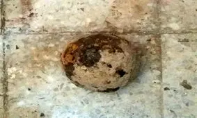 کشف یک گلوله توپ جنگی ۱۰۰ ساله در محوطه کاخ چهل‌ستون اصفهان