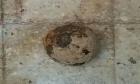 کشف یک گلوله توپ جنگی ۱۰۰ ساله در محوطه کاخ چهل‌ستون اصفهان