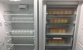 بانک شیر در یزد راه‌اندازی می‌شود