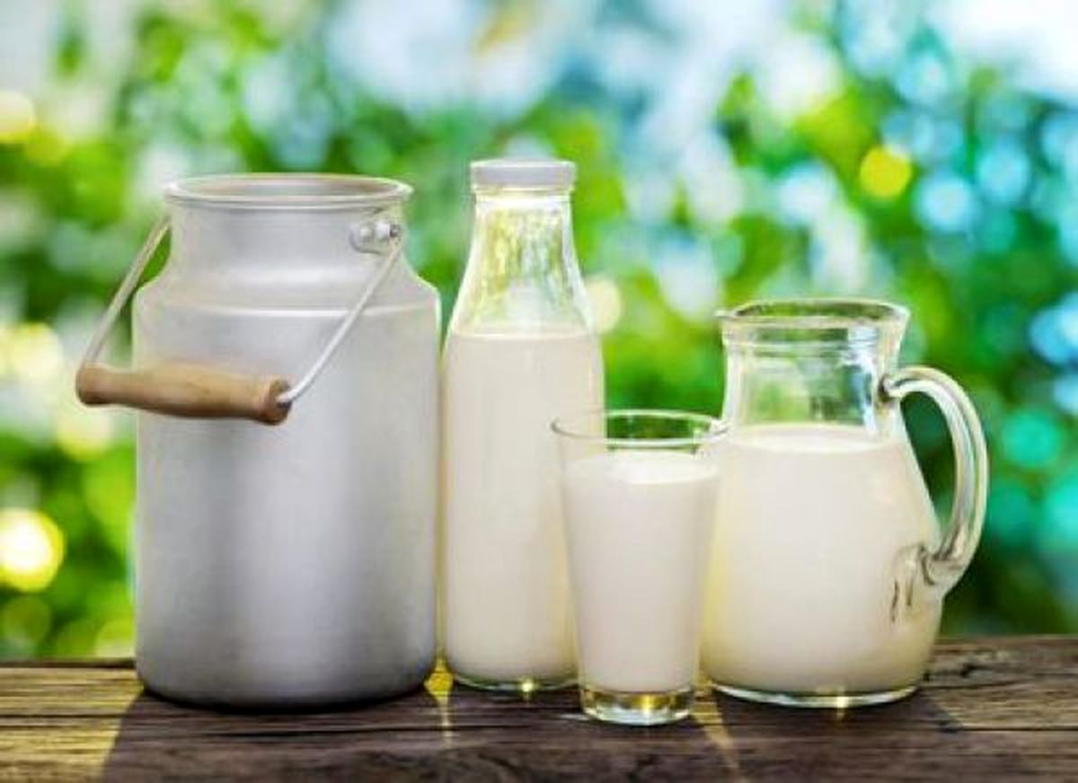ابلاغ افزایش قیمت شیرخام بدون اطلاع وزارت جهاد کشاورزی