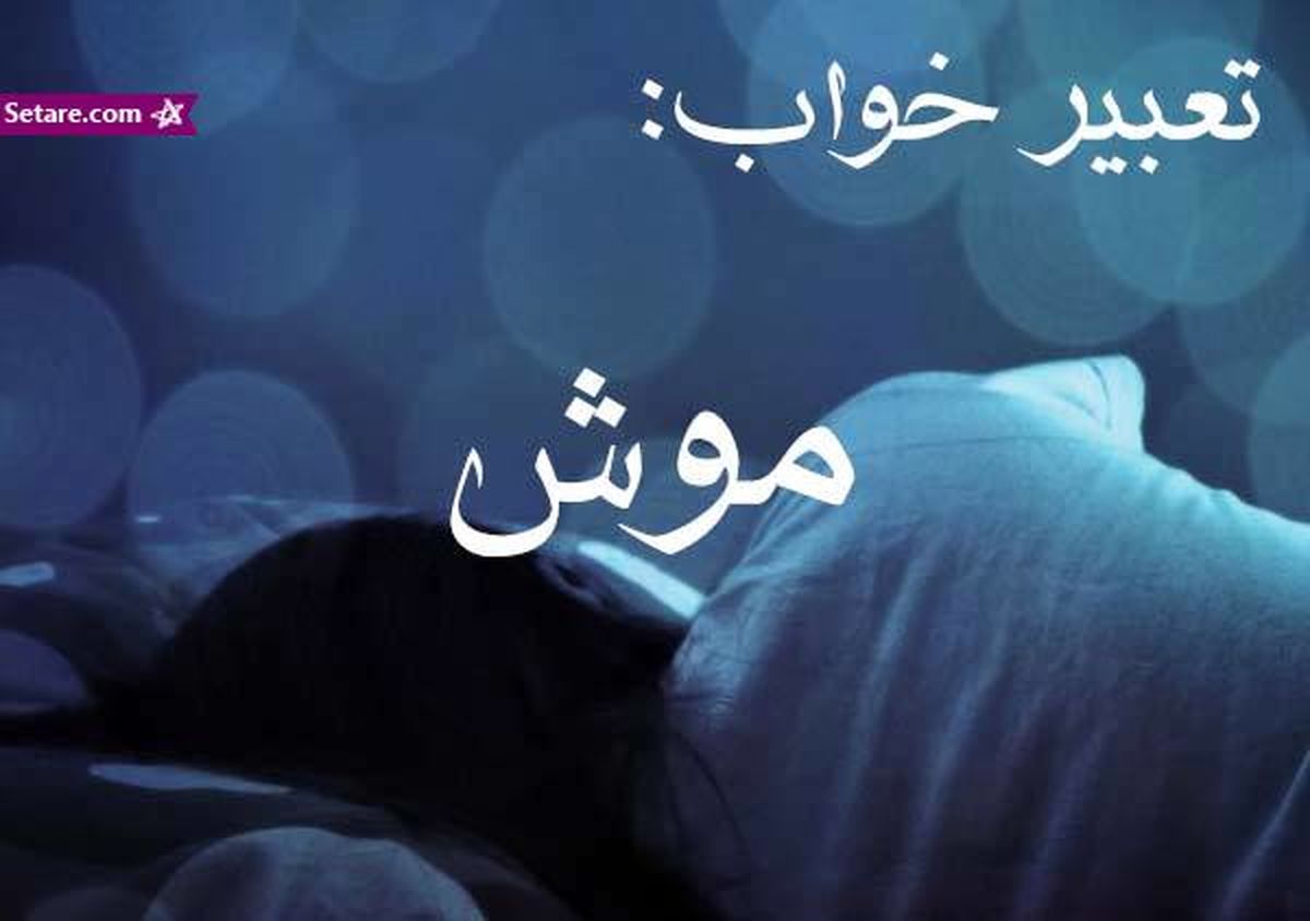 تعبیر خواب موش - معنی دیدن موش در خواب چیست؟