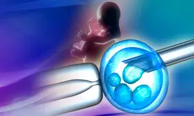 درصد موفقیت ای وی اف، آنچه که باید بدانید