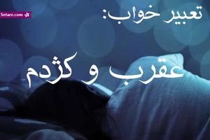 تعبیر خواب عقرب - دیدن عقرب در خواب چه تعبیری دارد؟