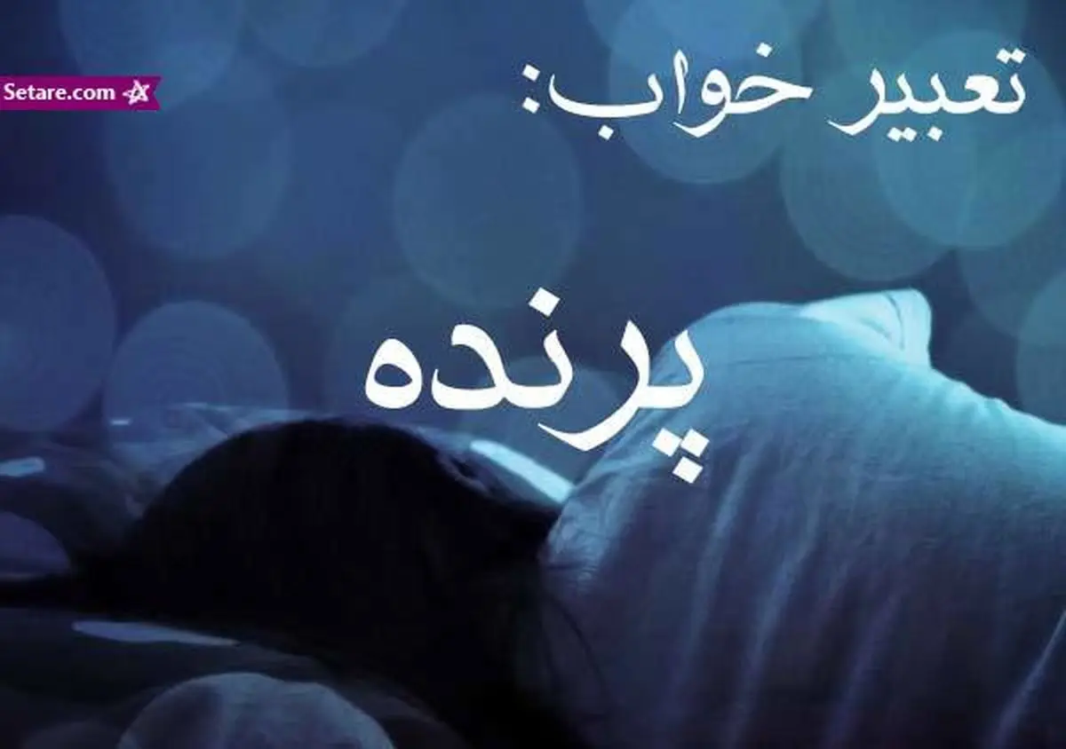 تعبیر خواب پرنده - دیدن پرنده در خواب چه تعبیری دارد؟