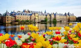 علاقه عجیب مردم هلند به یک میوه