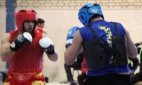 کسب ۷ نشان رنگارنگ توسط تیم ووشو مردان استان در رقابت‌های کشوری