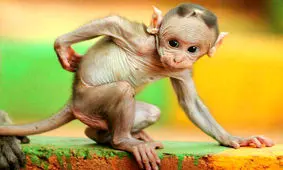  عکس نوشته های طنز و خنده دار