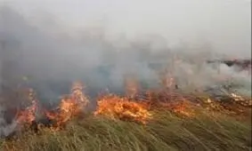 آتش سوزی در فاصله ۵ کیلومتری تالاب هویزه+فیلم