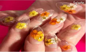 جدیدترین مدل ناخن برای تابستان ۲۰۱۸