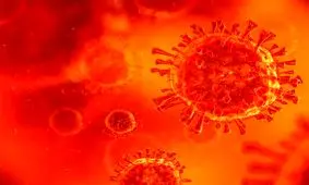 این افراد ۵ برابر بیشتر از سایرین به زیرسویه جدید کرونا مبتلا می‌شوند