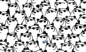 سه پاندای متفاوت را پیدا کنید