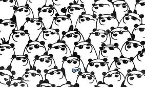 سه پاندای متفاوت را پیدا کنید
