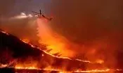 آتش‌سوزی وسیع در جنگل‌های لهستان
