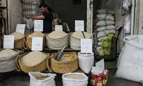 قیمت برنج؛ جهش ۲۴۰ درصدی از شالیزار تا فروشگاه