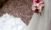 عکس زن 3 شوهره در ایران/ پروانه تیتر روزنامه ها شد 
