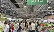 کالابرگ در بن‌بست میادین میوه و تره‌بار / بهانه فروشندگان چیست؟