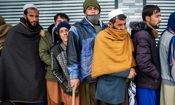 فقدان نیروی کار افغان ظرف یک سال قابل جبران است 