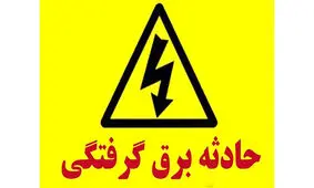 برق کودک 5 ساله را خشک کرد
