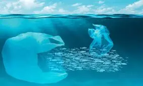 ساخت ربات‌های‌ زیستی برای پاکسازی خُردپلاستیک‌ها از دریا

