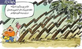 ببینید قیمت خرما سر به فلک گذاشت