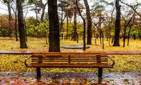 توصیه های سلامتی در آستانه تغییر فصل