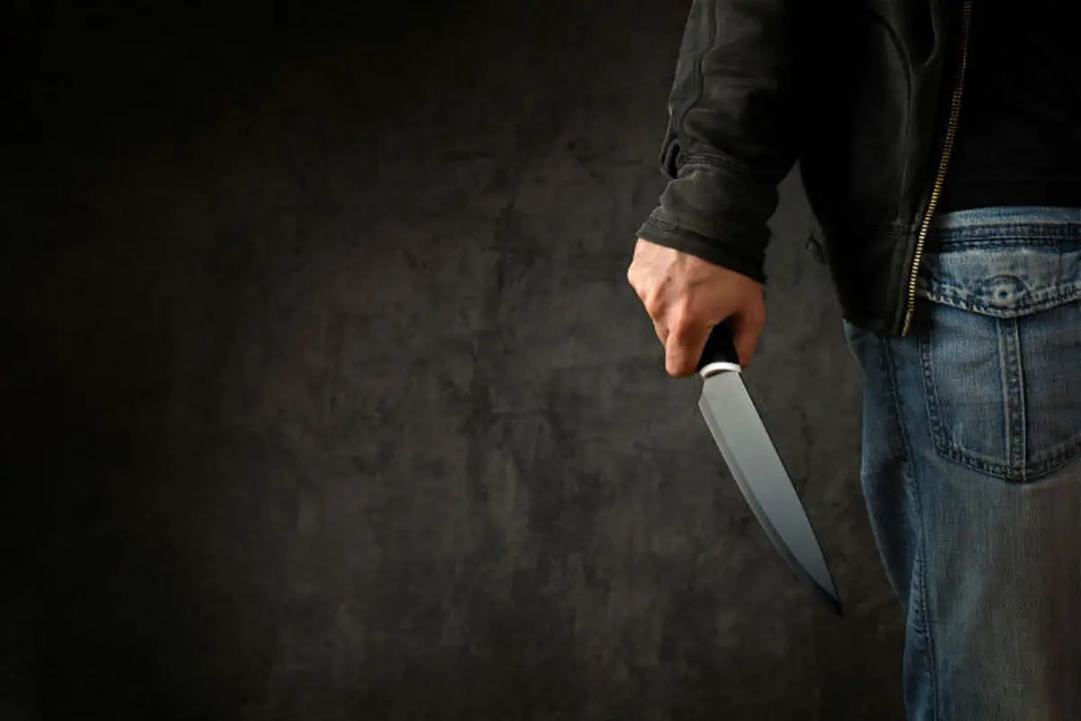 حمله 2 برادر با چاقو به مدیر و کارکنان منابع طبیعی ملکشاهی