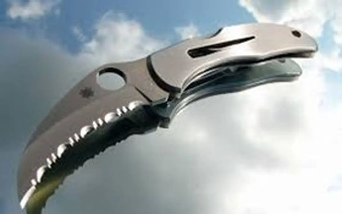 پدرسنگدل با خنجر قلب دختر 3ساله اش را شکافت