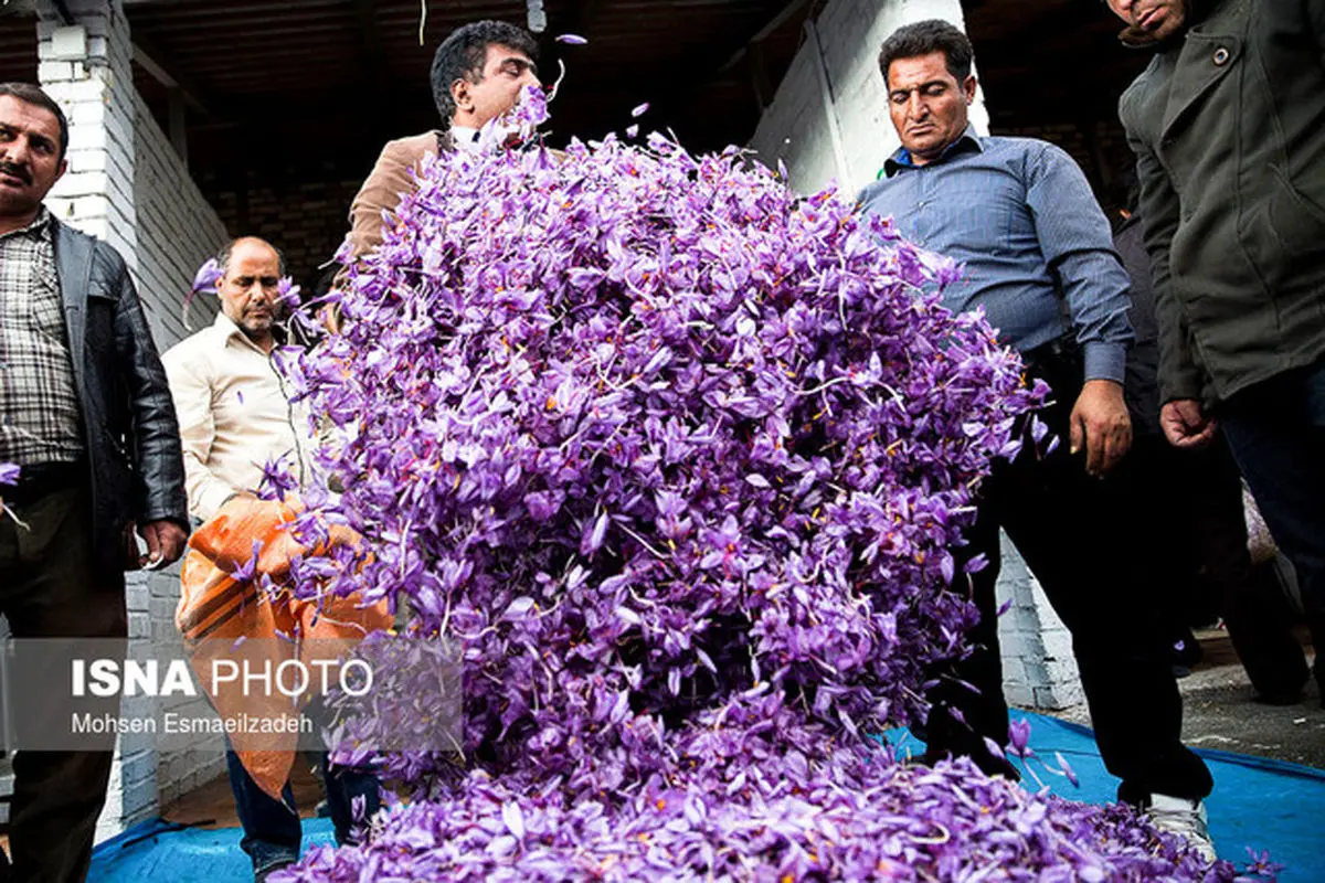 زنجیره ارزش زعفران با همکاری اتحادیه اروپا در ایران شکل می‌گیرد