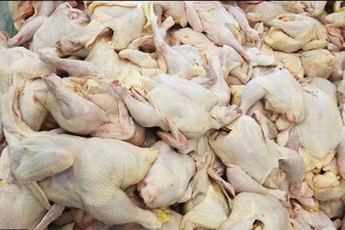 قیمت گوشت مرغ در چهارمحال و بختیاری کاهش می یابد