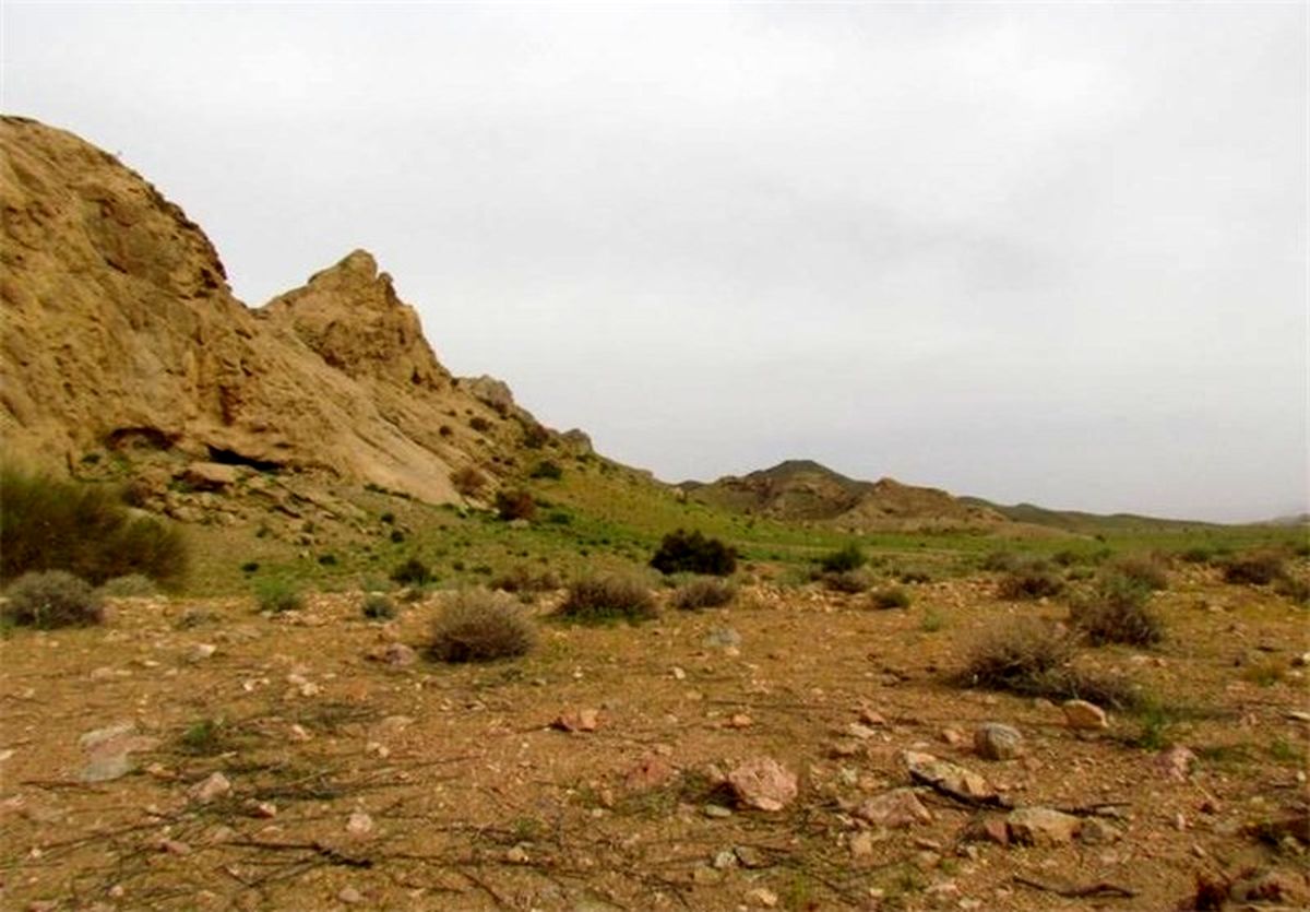 شکار در منطقه دربند مشکول ۵ سال ممنوع شد