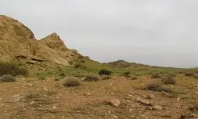 شکار در منطقه دربند مشکول ۵ سال ممنوع شد