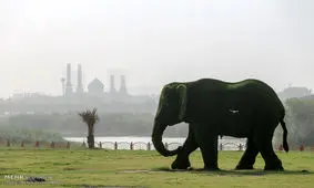 شهرهای خوزستان در تسخیر دود غلیظ/معضل جدید حل شدنی نیست