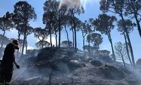 آتش‌سوزی‌های متعدد در لبنان به دلیل موج گرما