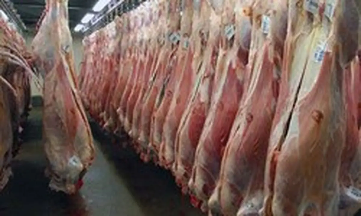 دستگیری احتکارکنندگان 9.5 تن گوشت مرغ و گاو در آمل