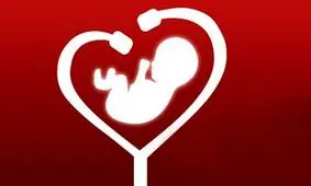 ضربان قلب نرمال جنین چند است؟