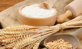 سبوس گندم با چه قیمتی در بازار به فروش می‌رسد؟