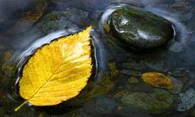 داستان آموزنده سنگ یا برگ !